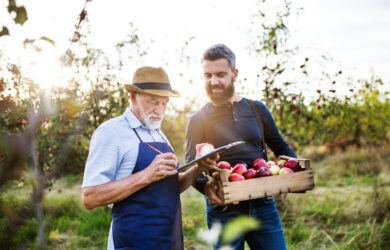Two men in an orchard, one older with a hat writing on a clipboard, the other holding a wooden crate of apples and smiling, surrounded by apple trees in soft sunlight.