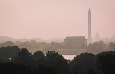Washington, D.C. skyline at sunrise with the Washington Monument, Lincoln Memorial, and Capitol building shrouded in a pinkish haze, and trees in the foreground.