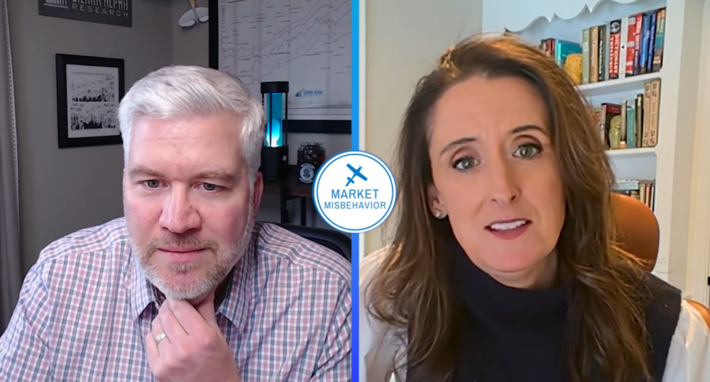 A man and a woman are speaking in a split-screen video call. The man has gray hair and a beard and is wearing a plaid shirt; the woman has long brown hair and is wearing a dark top. Market Misbehavior is written in the center.