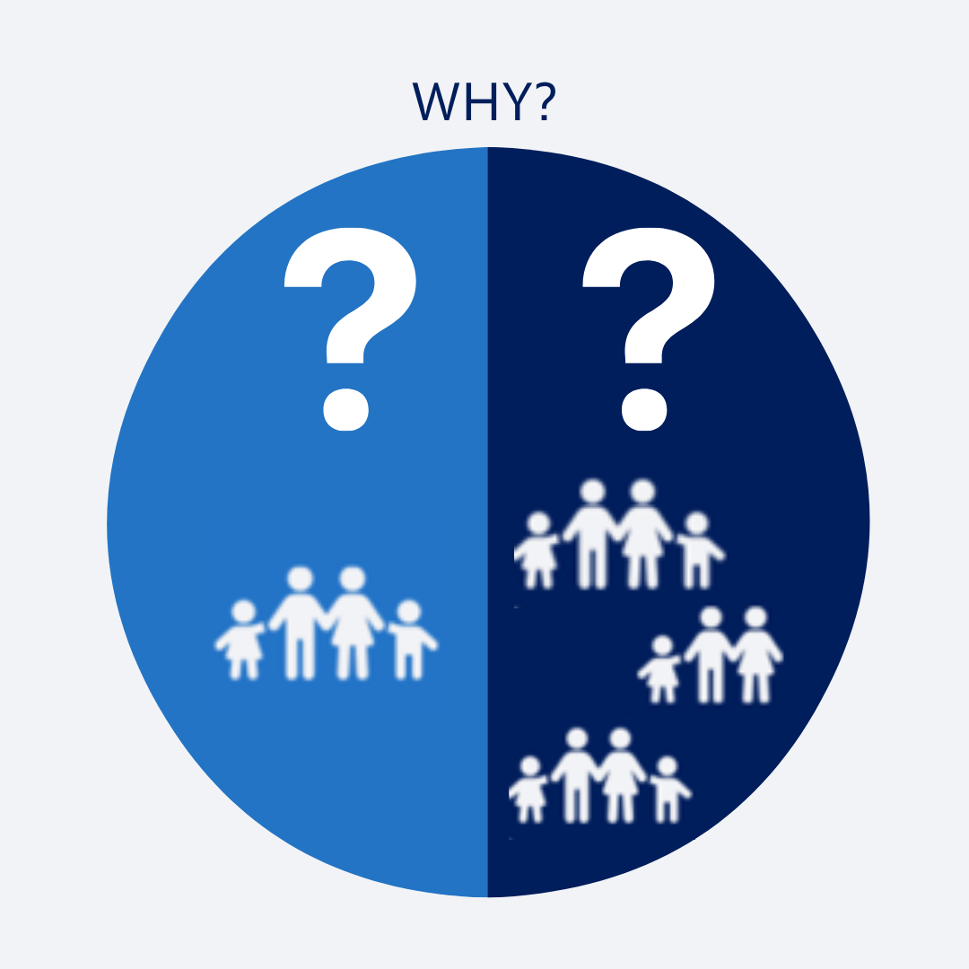 A circle divided in half; left side light blue with a family of four and a question mark above, right side dark blue with three families of different sizes and a question mark above. The word WHY? is at the top.